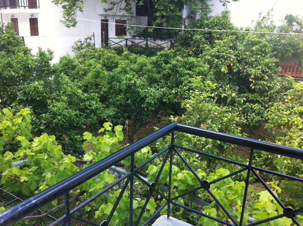 Hotel Eleana Agios Ioannis  Exterior foto